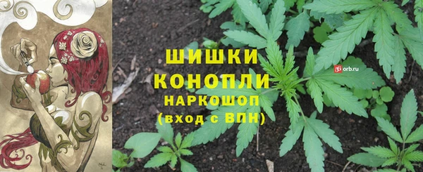 каннабис Алексеевка