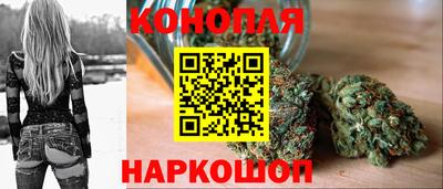 ГАЛЛЮЦИНОГЕННЫЕ ГРИБЫ Пугачёв