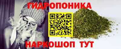 ГАЛЛЮЦИНОГЕННЫЕ ГРИБЫ Пугачёв