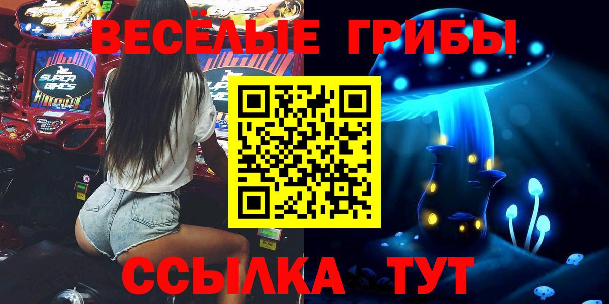 Черкесск  Галлюциногенные грибы мухоморы  Вход с VPN 